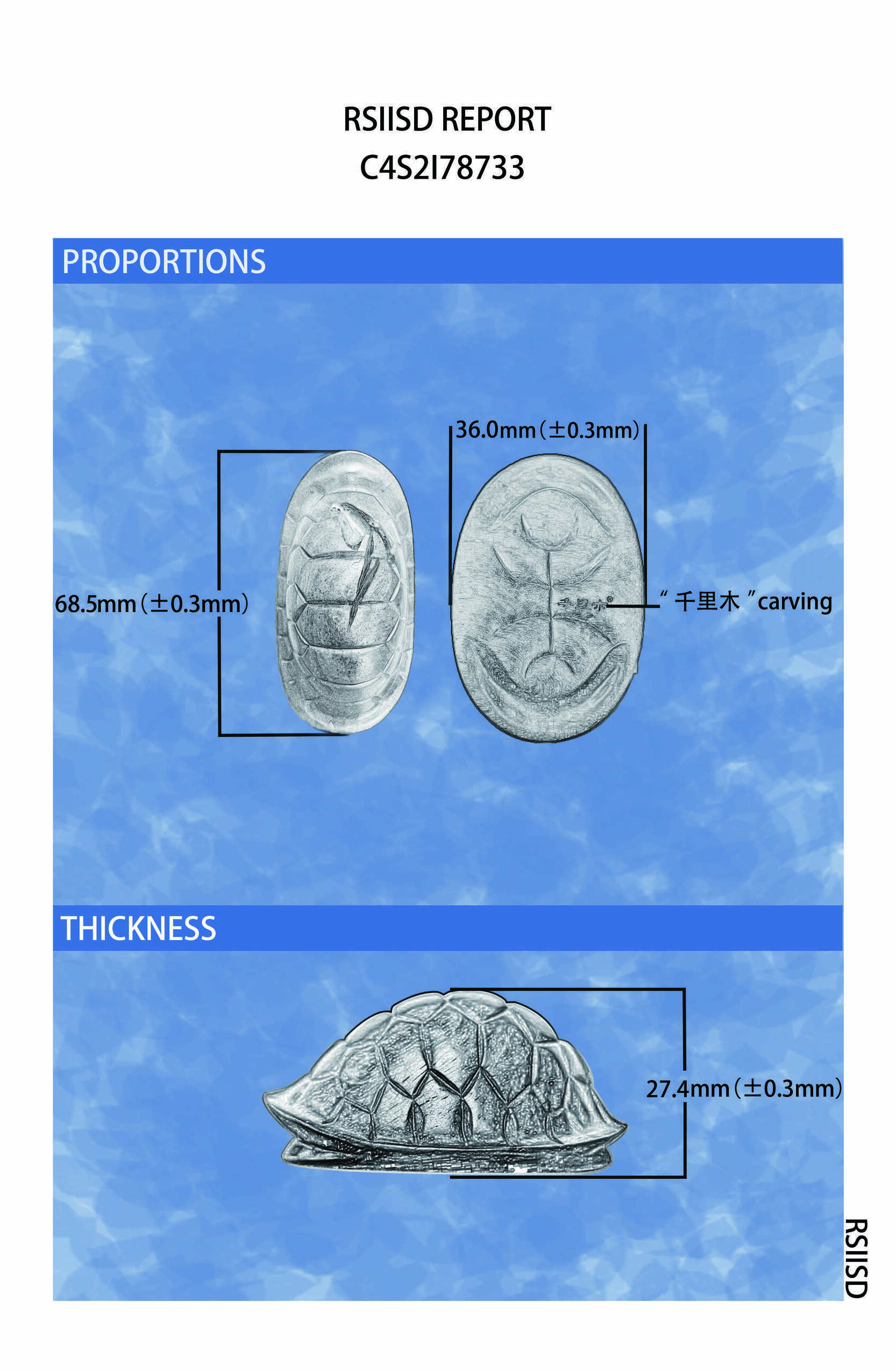 C4S2I78733_2.jpg