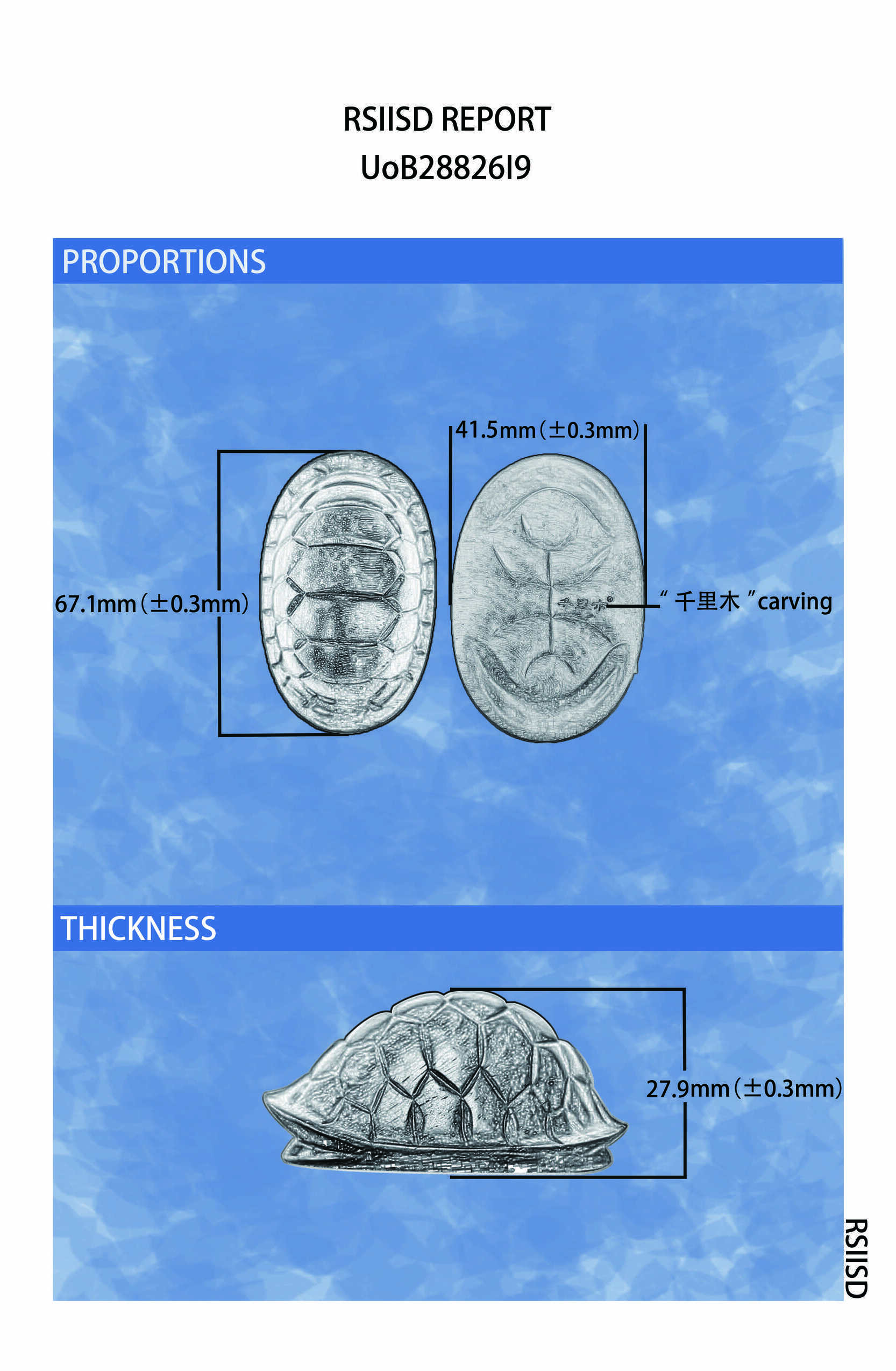 UoB28826I9_2.jpg