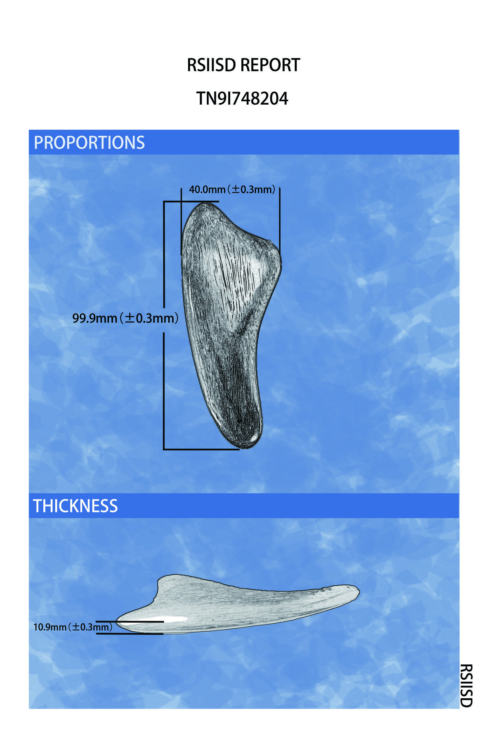 TN9I748204_2.jpg