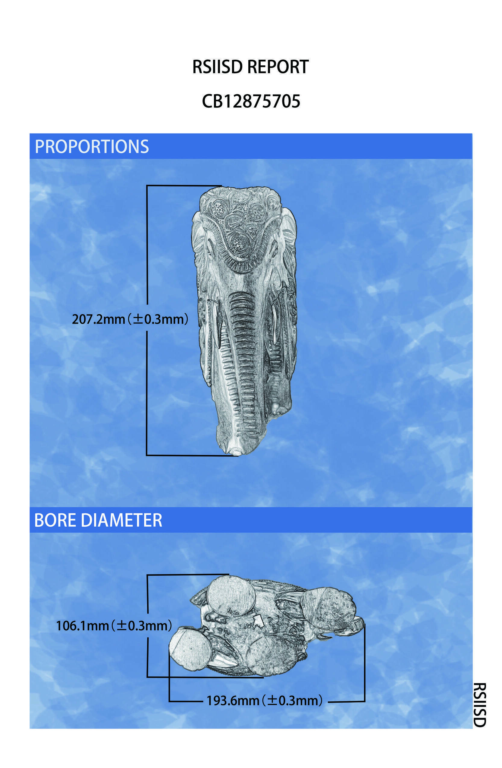 CB12875705_2.jpg